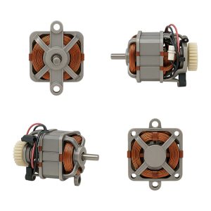 Blender Motor